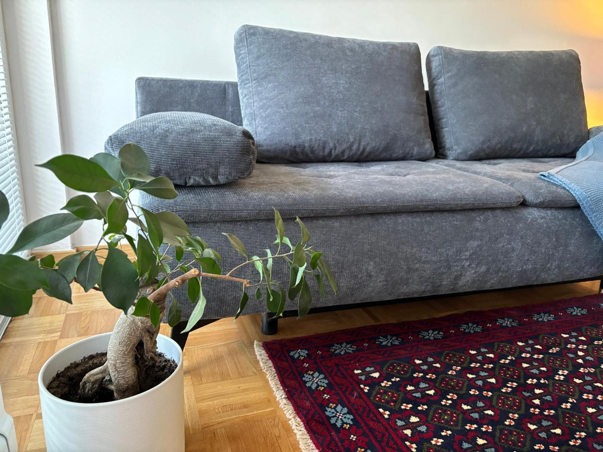 לובליאנה Ljubljanica Apartment מראה חיצוני תמונה