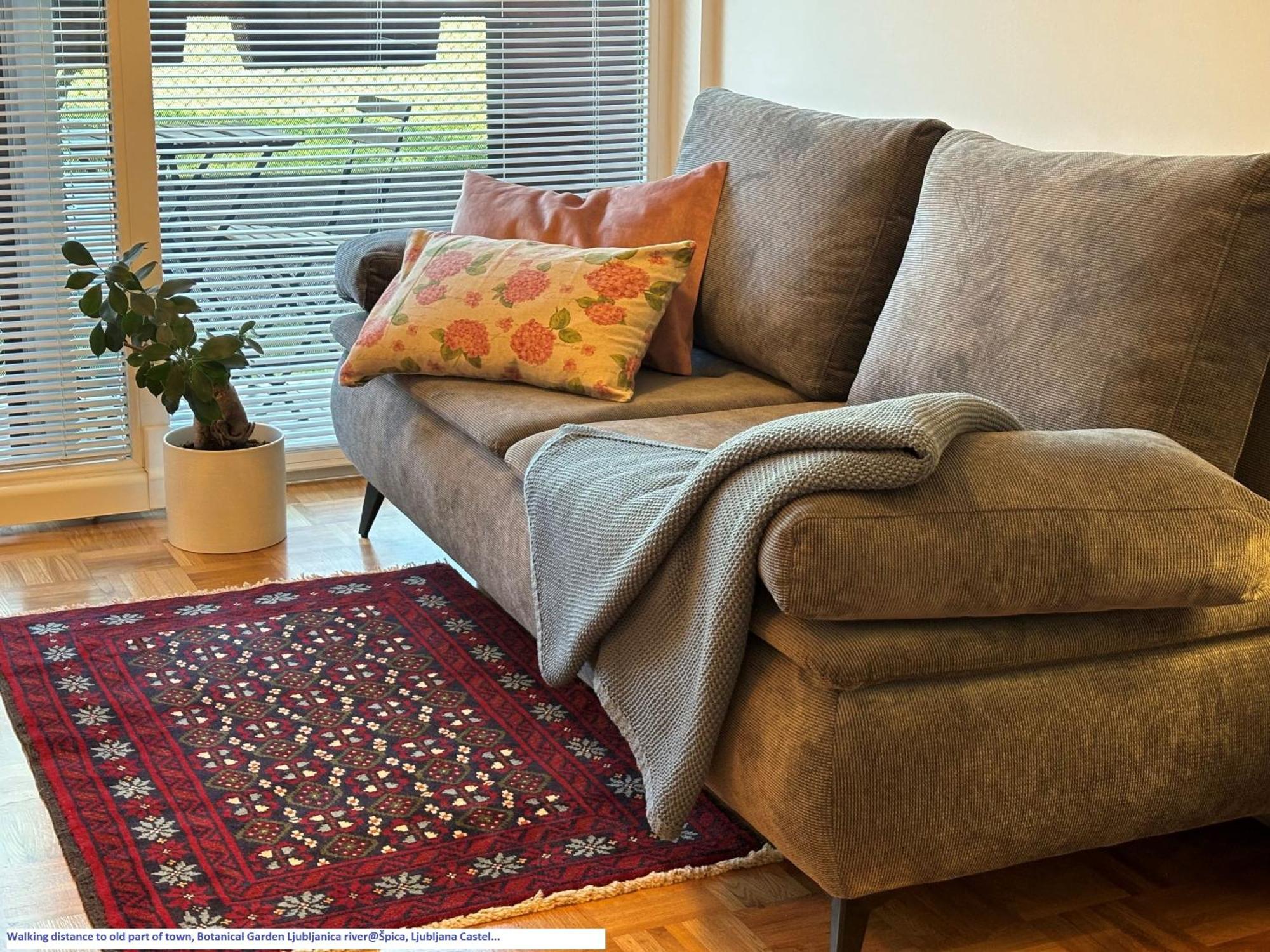 לובליאנה Ljubljanica Apartment מראה חיצוני תמונה