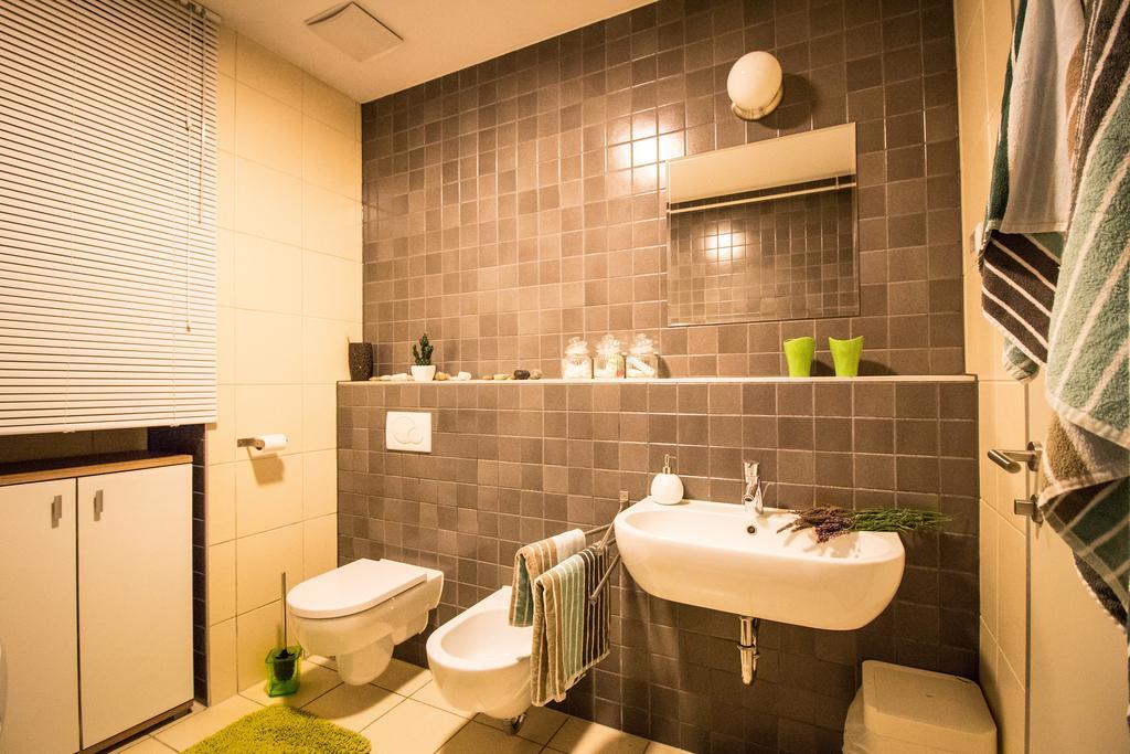 לובליאנה Ljubljanica Apartment מראה חיצוני תמונה